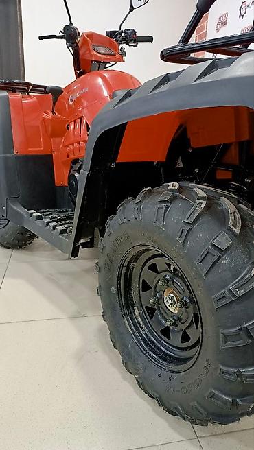 Квадроциклы: Квадроцикл Бензин, 500 куб. см, Взрослый — 8