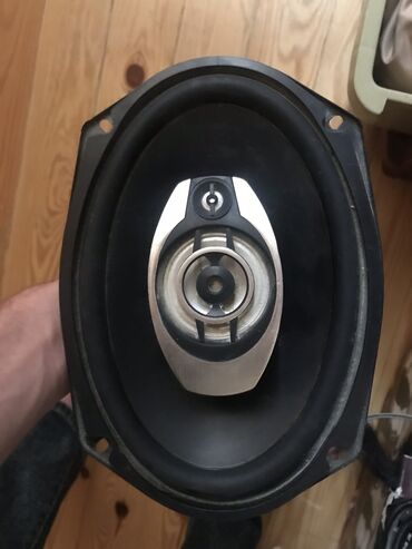 pioneer qarğıdalı toxumu: İşlənmiş Pioneer Kolonka, Növ - Akustik