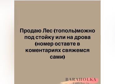 кара балта цемент: Звоните или пишите вотсапп