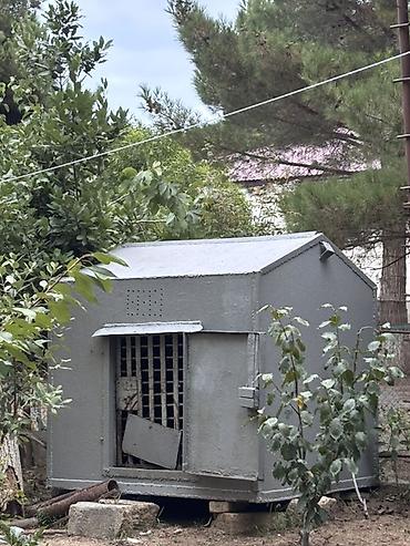 shotland pişik: Metall qəfəs/kabin – heyvan saxlamaq və ya müvəqqəti mühafizə üçün - — 3