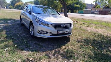 хундай соната 2016: Hyundai Sonata: 2016 г., 2 л, Автомат, Газ, Седан