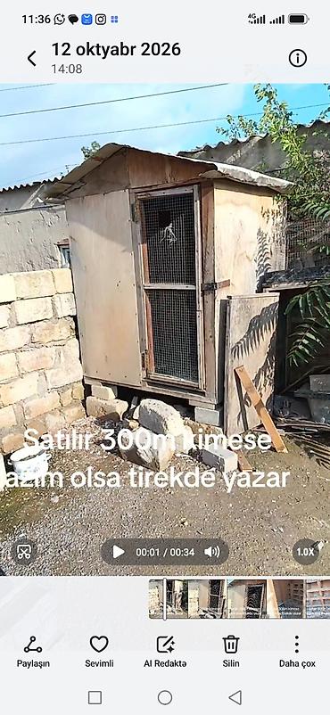 kend toyuqlari: Taxta toyuq/kənd quşları üçün daxıl - Material: qalın taxta və metal — 1