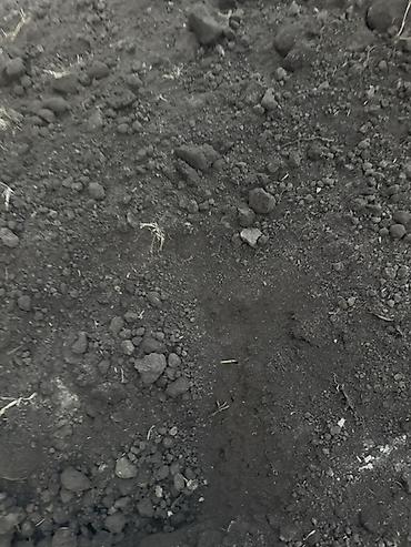 Үй жана бакча үчүн бардык: Тонна менен, Акысыз жеткирүү, Акылуу жеткирүү, Зил, Камаз — 4
