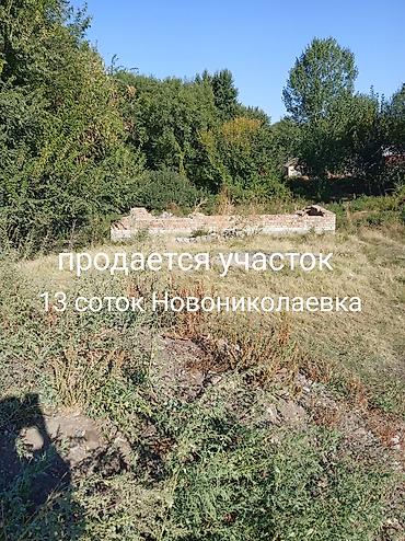 13 соток, Для строительства, Красная книга at lalafo.kg 13 соток, Для строительства, Красная книга