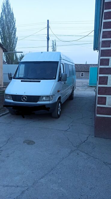 Mercedes-Benz: Mercedes-Benz Спринтер: 1999 г., 2.9 л, Механика, Дизель, Бус