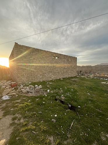 bine sovxoz: 4 sot, Tikinti, Mülkiyyətçi, Bələdiyyə — 2