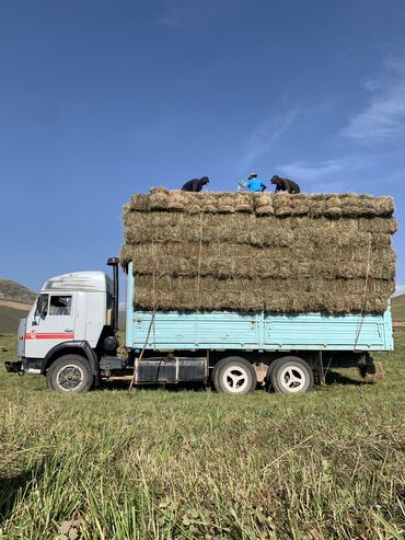 прицеп для легкового транспорта: Грузовик, Камаз, Дубль, 7 т, Б/у