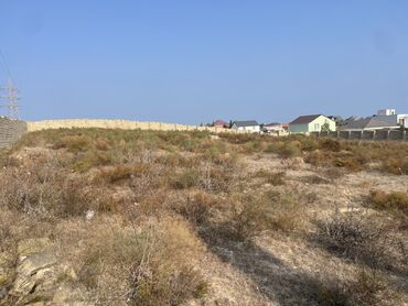 Torpaq sahələrinin satışı: 12 sot, Tikinti, Makler, Kupça (Çıxarış) -da lalafo.az — 6 Torpaq sahələrinin satışı: 12 sot, Tikinti, Makler, Kupça (Çıxarış) — 6