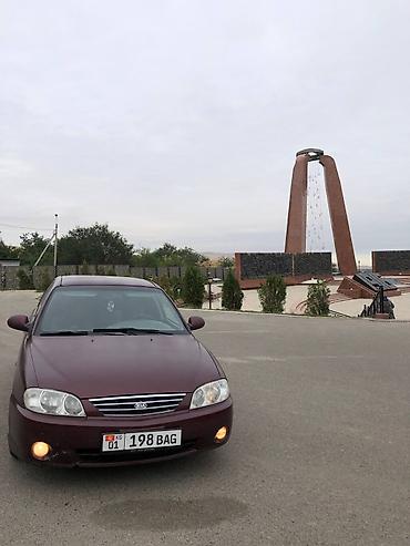 Kia Spectra: 2008 г., 1.6 л, Механика, Газ, Седан