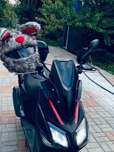 Скутеры: 🛵 Скупка скутеров! 💰 Выгодные цены! ⚡️ Быстрая оценка! ✅ Любые модели