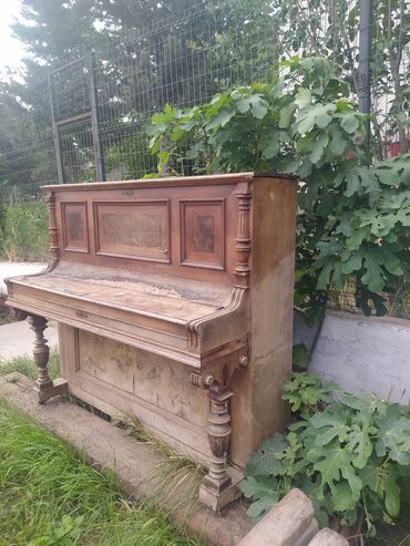 Пианино: Другие музыкальные инструменты