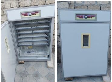 Доильные аппараты: 1100 яиц, Китай, С гарантией
