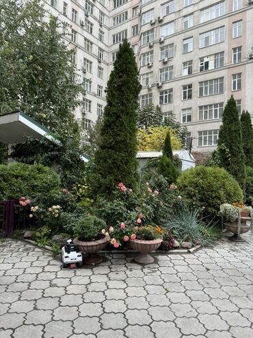 квартиры в бишкеке снять на долгий срок дешево с подселением: 2 комнаты, Собственник, С мебелью полностью
