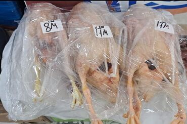 Quş: Məhsul: Təmizlənmiş kənd toyuqları (tam karkas) Təsvir: - Şəkillərdə — 13