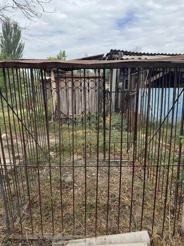 куда отдать собаку бишкек: Продаю вольер для Сабак . Размер 1,7х 1,7 . Железный . Цена 11000