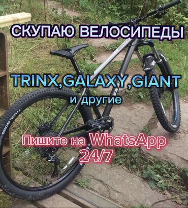 скупка велосипедов: Скупаю велосипеды. Trinx,Giant,Galaxy и другие. Присылайте фото на