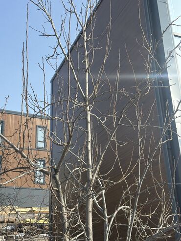 Продажа домов: Таунхаус, 88 м², 5 комнат, Собственник — 15