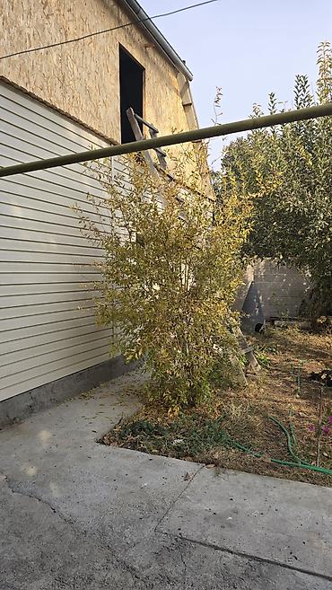 баткенге жардам: 50 м², 3 бөлмө, Аска-Таш ж/м, Үй-бүлөлүүлөргө — 1