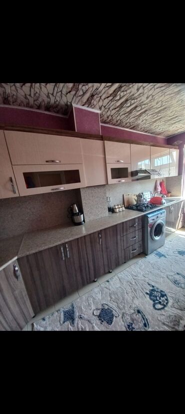 Комнатные растения: Mətbəxt satılır 350 manata 4.80 dın 2 metirə ünvan Qala kəndi &
