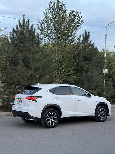 Lexus: Lexus NX: 2017 г., 2 л, Кроссовер — 13