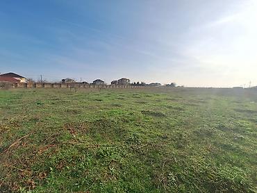 kupça: 200 sot, Tikinti, Mülkiyyətçi, Kupça (Çıxarış) — 3