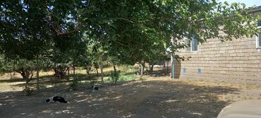 Qarajlar: 3 otaqlı, 1000 kv. m, Orta təmir
