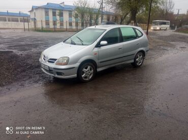 продажа битого авто: Nissan Almera Tino: 2003 г., 1.8 л, Механика, Бензин, Минивэн