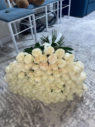 орхидеи в горшке купить с доставкой: Продаю. 101 или половину. 
6000 (101) 
3000 (51) 
Сразу звоните!