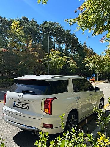 диски hyundai: Hyundai Palisade: 2021 г., Кроссовер — 3