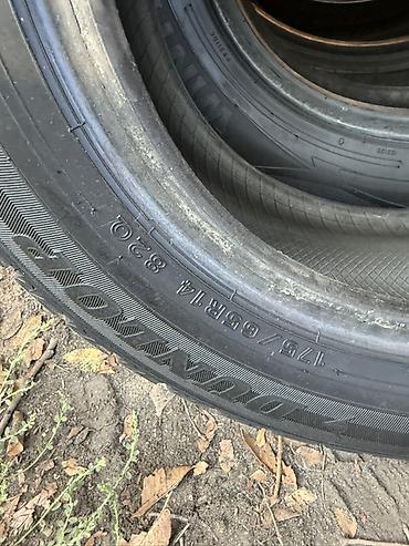 Шины: Зимние шины Dunlop Winter Maxx 2 штуки - Тип: зимние нешипованные - — 3