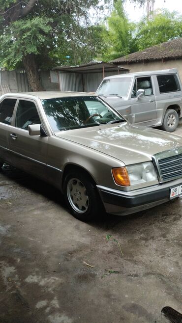 приора 2: Mercedes-Benz 230: 1991 г., 2.3 л, Механика, Газ, Седан
