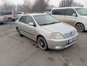 шлифовальную машину для пола: Toyota Corolla: 2003 г., 1.6 л, Механика, Бензин, Седан