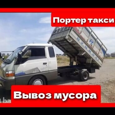 Другие животные: Вывоз мусора вывоз мусора вывоз мусора Вывоз мусора вывоз мусора