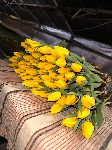 Букеты из живых цветов: Продаем тюльпаны оптом! Луковица голландская, выращенные в — 2