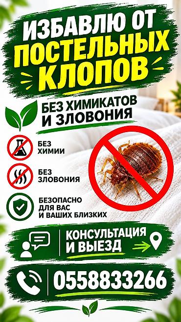 Услуга: избавление от постельных клопов без химикатов и резкого at lalafo.kg Услуга: избавление от постельных клопов без химикатов и резкого