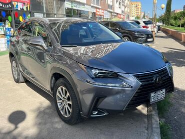 купить шевроле эквинокс: Lexus NX: 2020 г., 2 л, Автомат, Бензин, Кроссовер