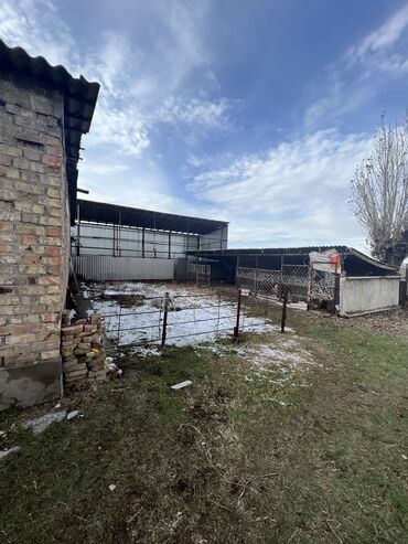 Другая коммерческая недвижимость: Сдаю Конюшню в перспективном районе для содержания лошадей и быков — 13