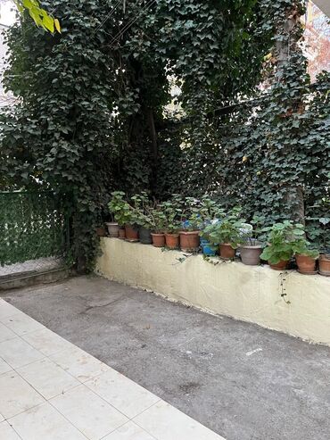 Köhnə tikili: Bakı, 2 otaqlı, Köhnə tikili, m. Elmlər Akademiyası, 45 kv. m — 16