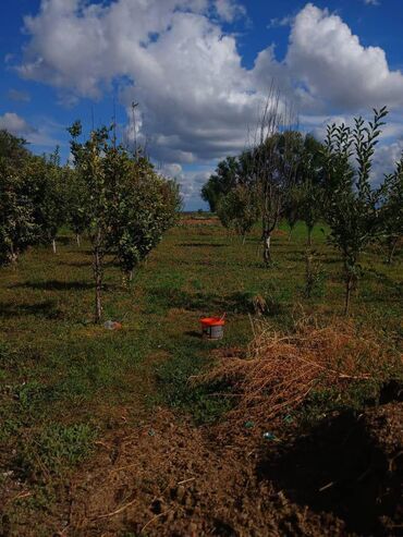 Продажа домов: Дом, 120 м², 5 комнат, Собственник, Евроремонт — 3