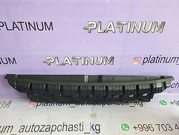 platinum: Кожух замка, крепление решетки радиатора, накладка решетки радиатора — 2