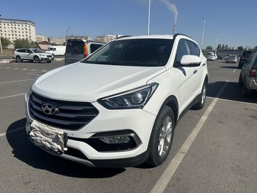 шторы на машину: Hyundai Santa Fe: 2017 г., 2 л, Автомат, Дизель, Кроссовер