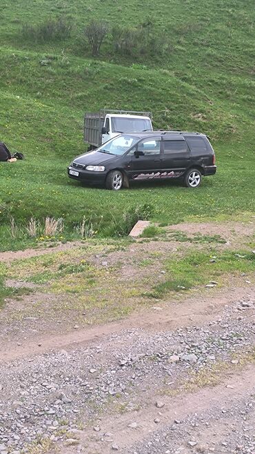 рулевой насос хонда одиссей: Honda Odyssey: 1996 г., 2.3 л, Автомат, Газ, Минивэн