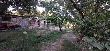 gencede torpaq sahesi satilir: 14 sot, Tikinti, Mülkiyyətçi, Kupça (Çıxarış) — 9