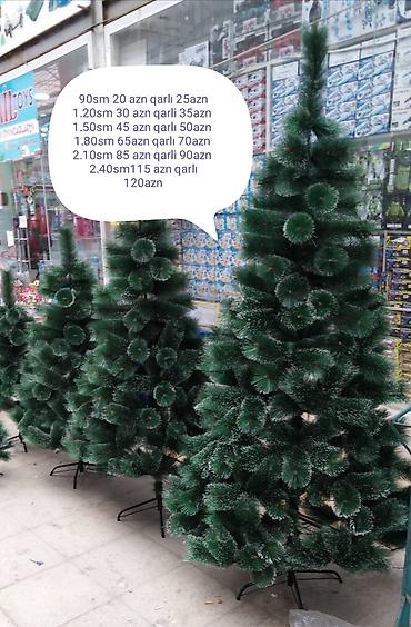 təbii sam agaci satisi: Sifarisle eve getiririk Çatdırılma pulsuz whatsapp aktivdir 🌲🌲🌲90sm — 1