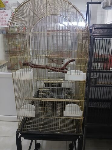 Qəfəslər: Yeni ve böyük qefesler var satişda yeni qəfəslərdi hər növdə var — 5