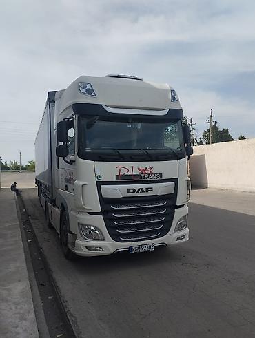 Тягачи: Тягач, DAF, 2020 г., Тентованный — 2