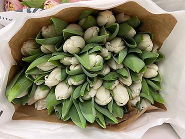 Букеты из живых цветов: Тюльпаны срезанные, свежие, прямые поставки. - Ассортимент — 8