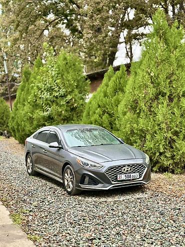 Продажа авто: Hyundai Sonata: 2017 г., 2 л, Автомат, Бензин, Седан — 2