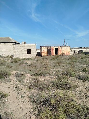 bulbule qesebesi: 12 sot, Tikinti, Maklerlər narahat etməsin, Kupça (Çıxarış) — 7