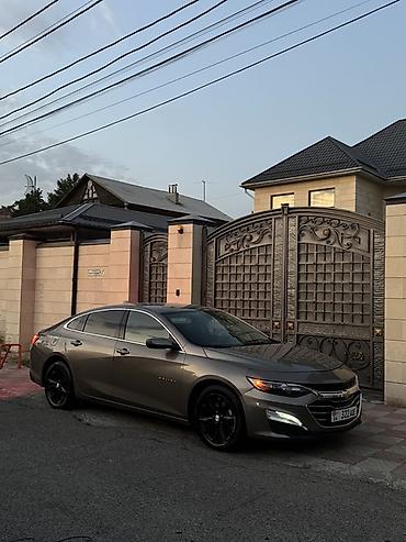 Chevrolet Malibu: 2019 г., 1.5 л, Автомат, Бензин, Седан